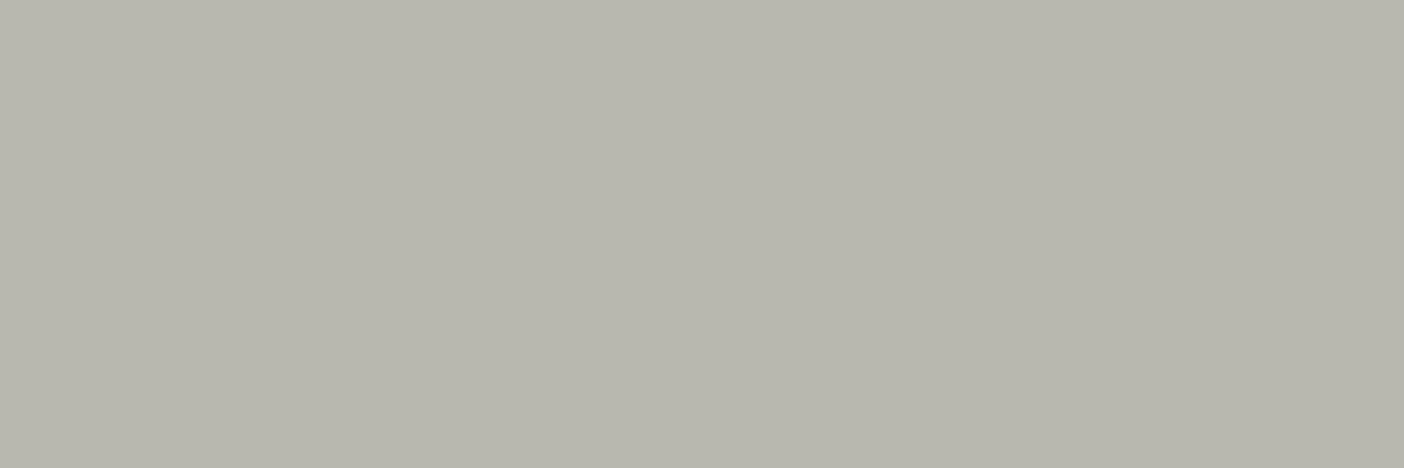Daltile Color Wheel Linear Desert Gray 2X8, Glossy, Rectangle Ceramic Tile