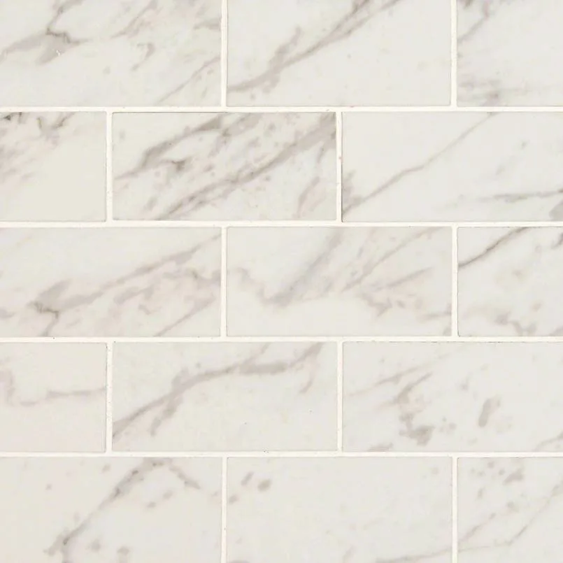Pietra Carrara 2x4 Mosaic