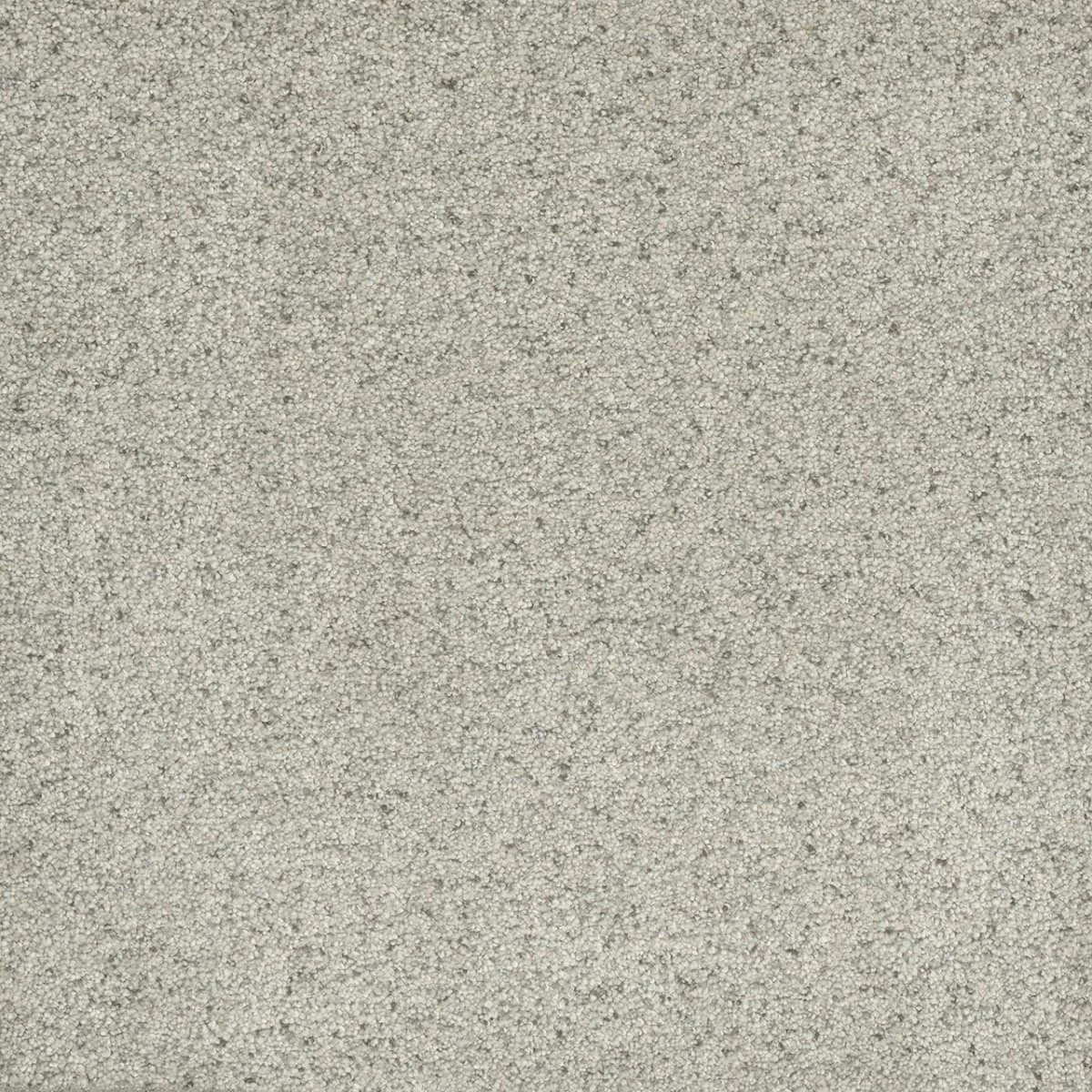 Astounding III 2565 Broadloom Carpet in Dreamcatcher color, woven polypropylene material, 12ft wide
