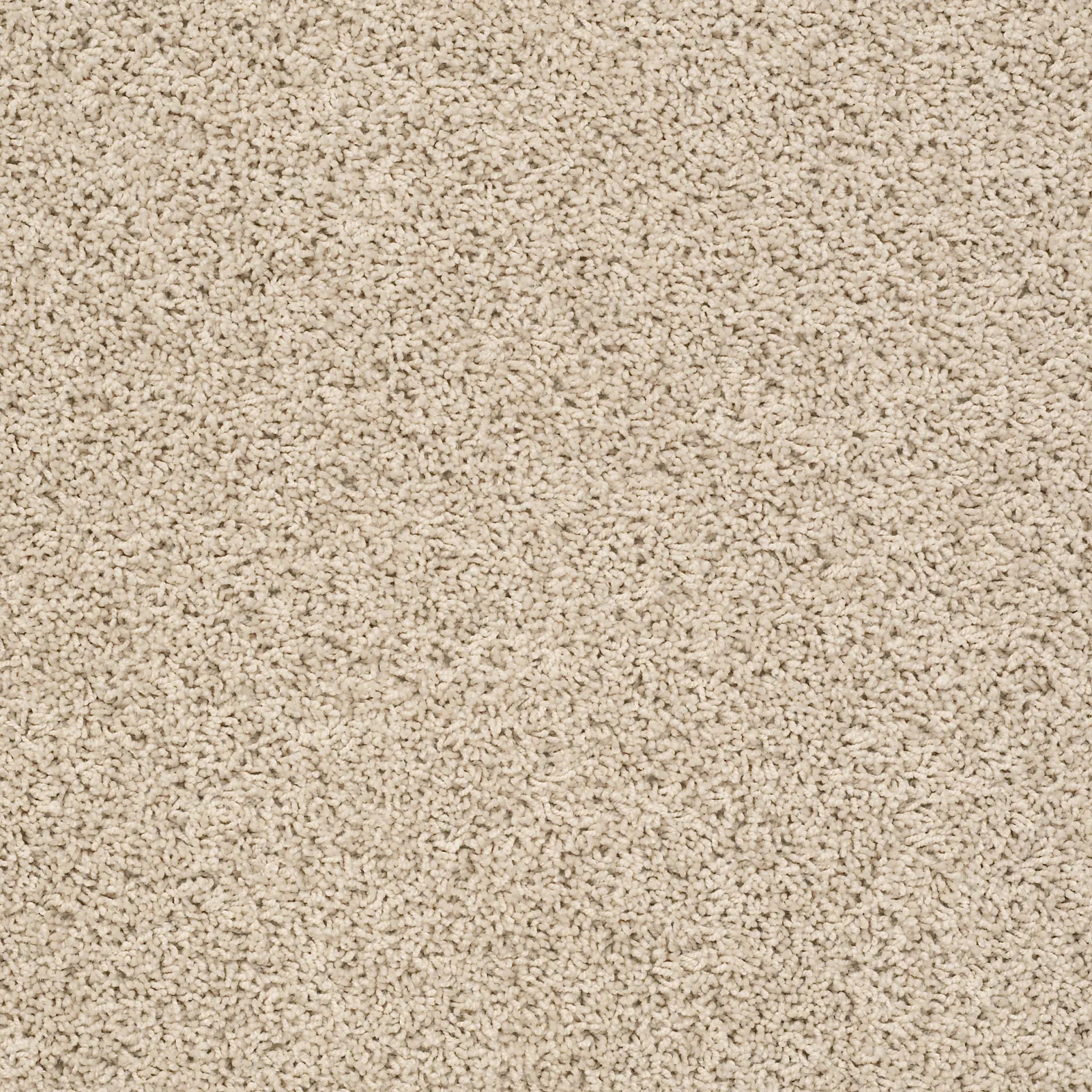 Del Morro Broadloom Carpet in Brushed Ivory color, 100% nylon, 12ft width, textured finish