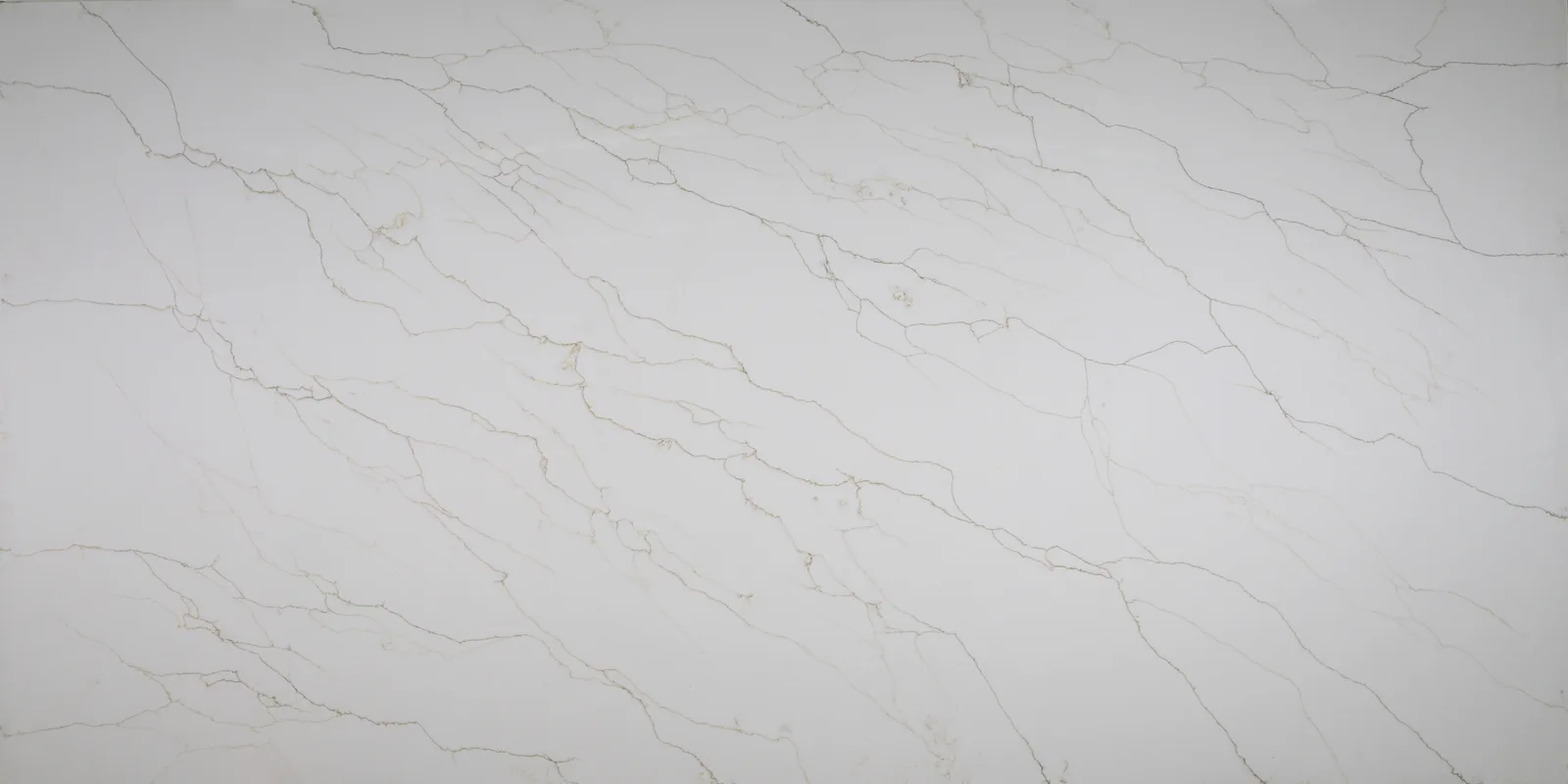 Roma Calacatta Quartz Countertop