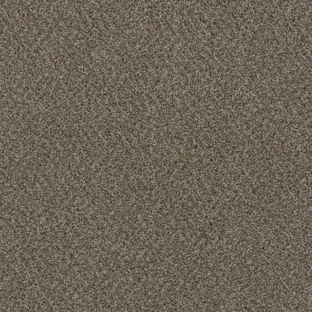 Hot Pursuit 1424 Broadloom Carpet in Fawn color, woven polypropylene material, 12ft wide