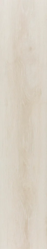 Borneo Ivory