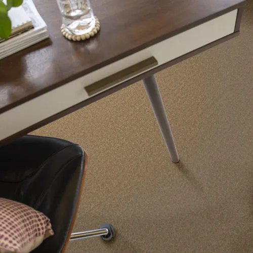 Matador Q0060 Broadloom Carpet in Fawn's Leap color, 100% Nylon, 12ft wide, Shaw Floors