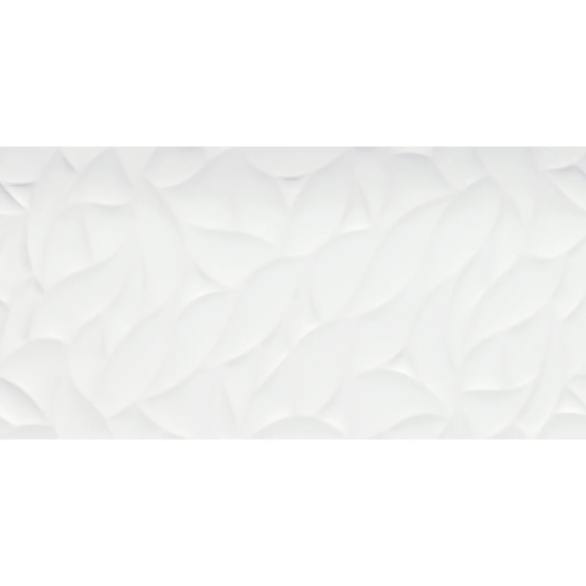 Jazz Bloom Matte