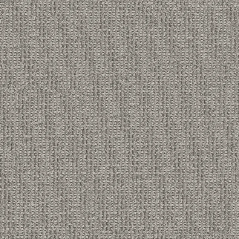 Fetch Broadloom Carpet in Briarwood color, 12ft width, 100% nylon material