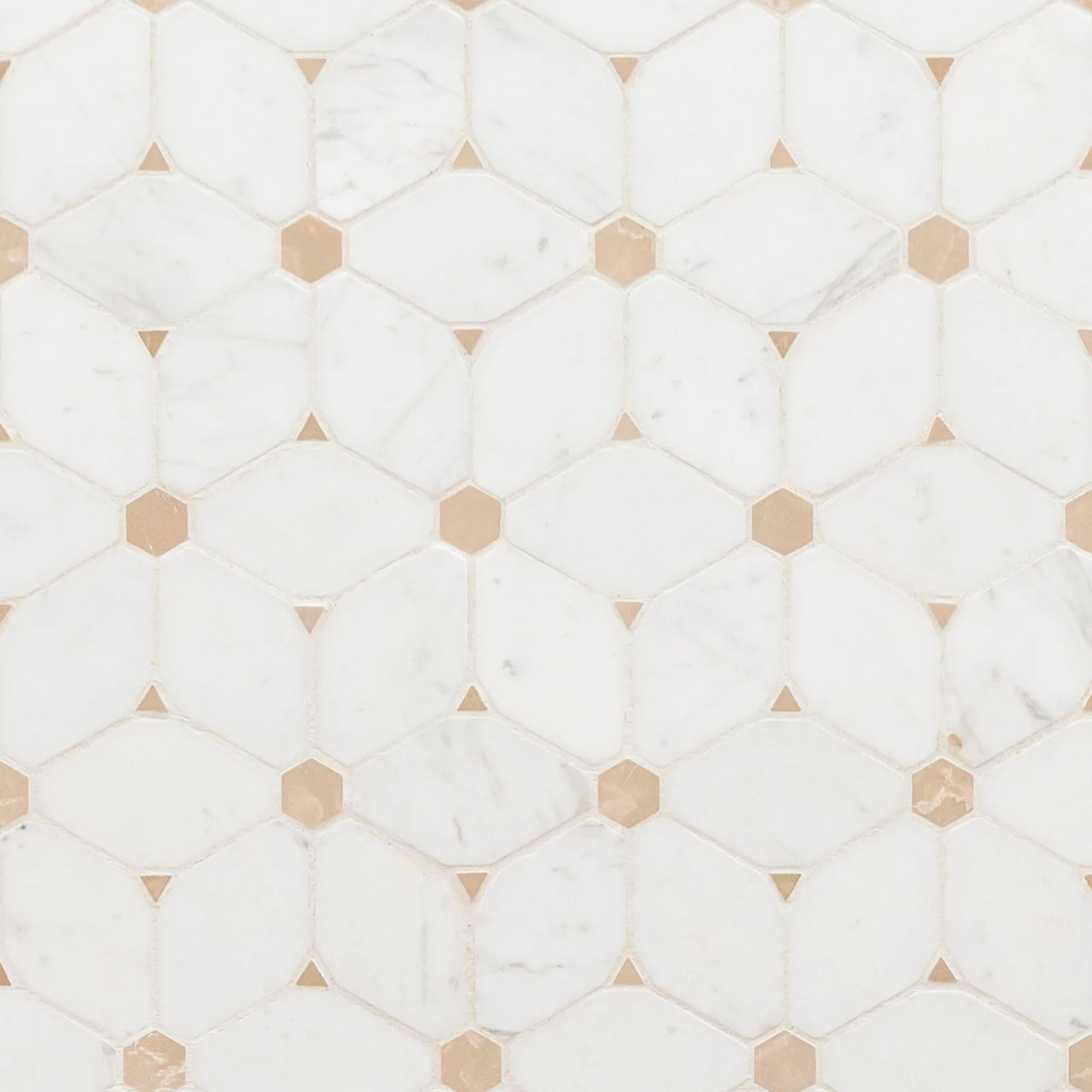 Cecily Pattern
