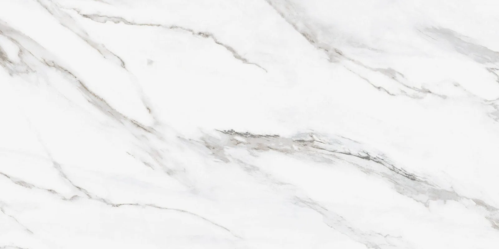 dAntilia Ceramic Tile in Carrara and Carrara Wave, sizes 12x24 and 3x12, ceramic material