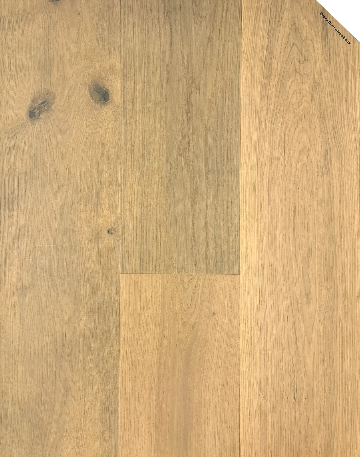 Blush Oak