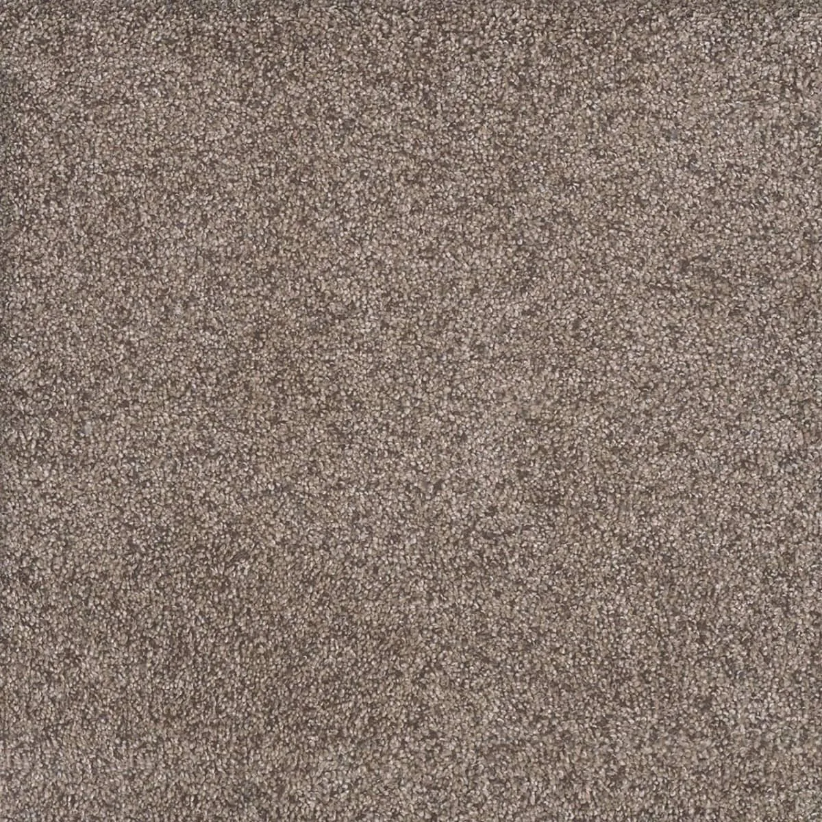 Rustic Retreat I 4440 broadloom carpet in Barn Light color, woven polypropylene material, 12ft wide