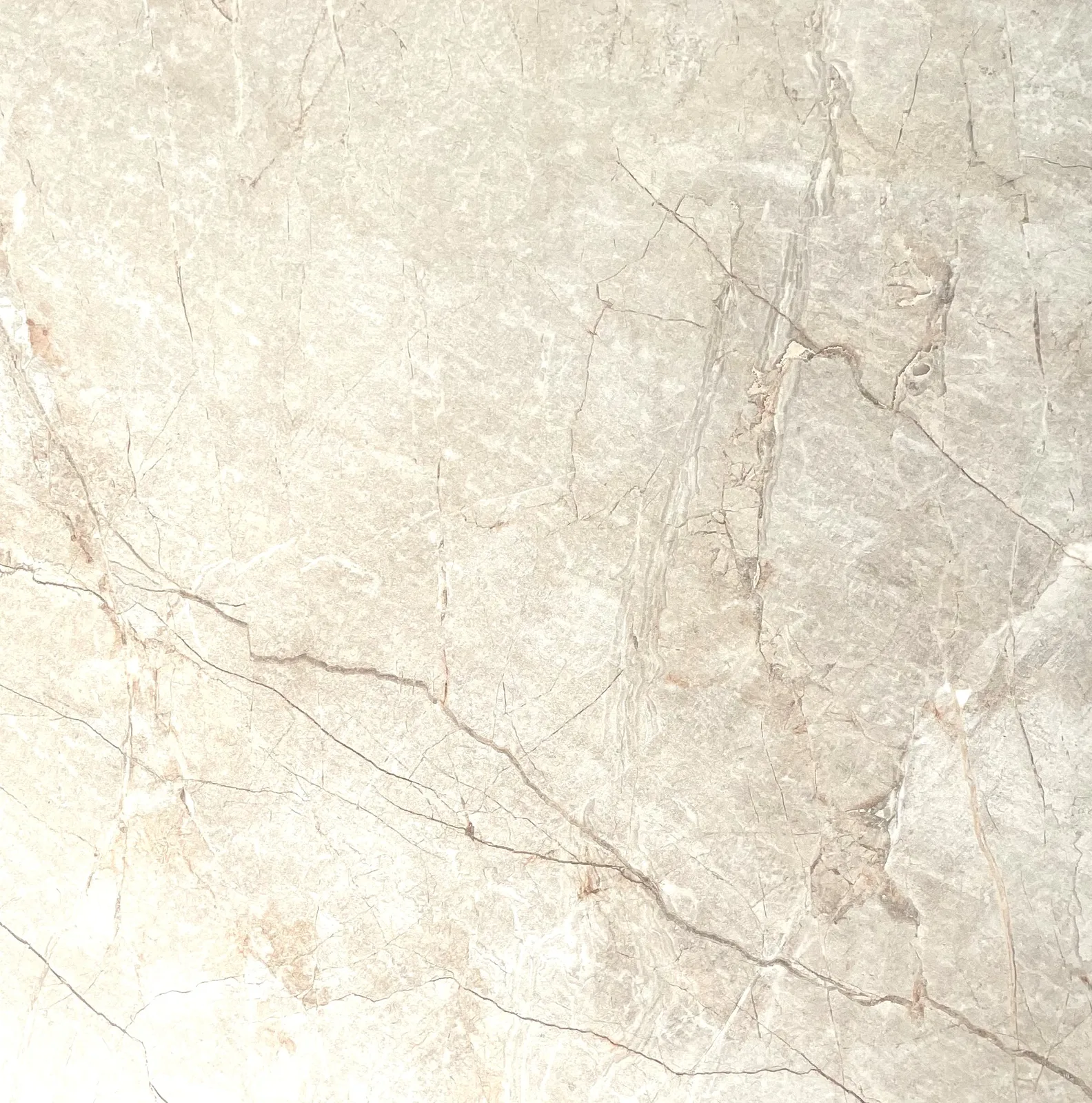 Etna porcelain tile 24x24 matte finish in gray color suitable for floor and wall applications