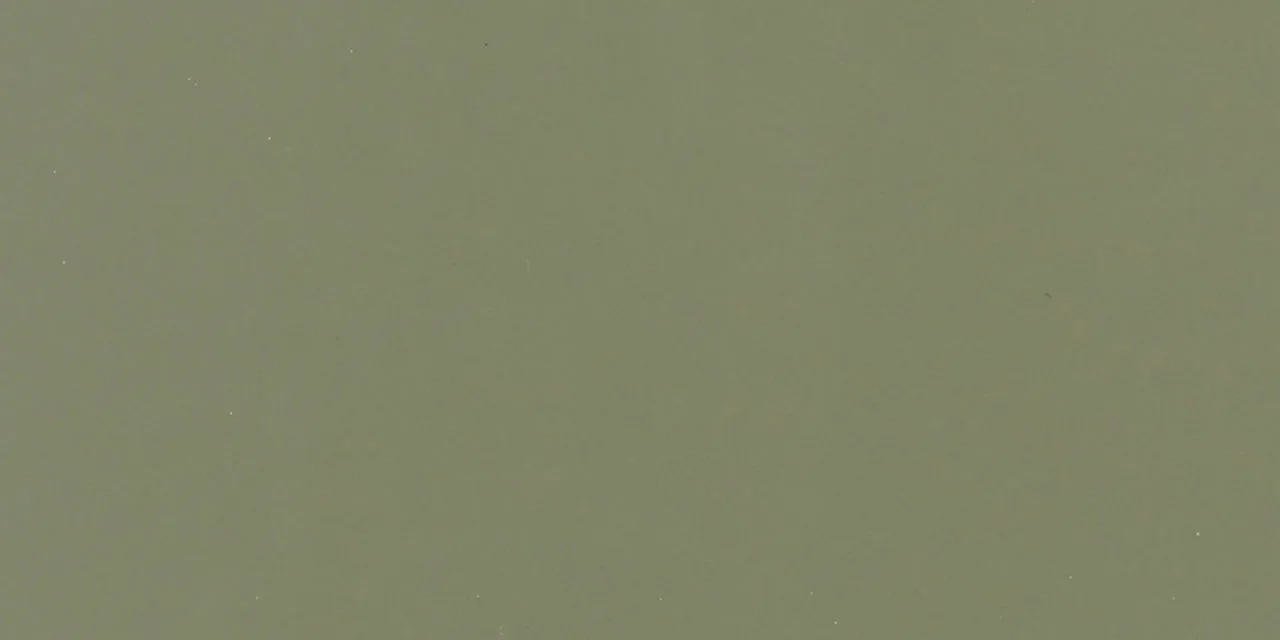 Daltile Color Wheel Classic Garden Spot