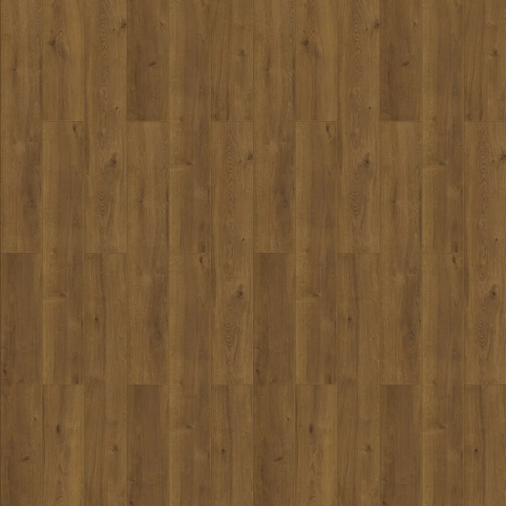Ontario Oak