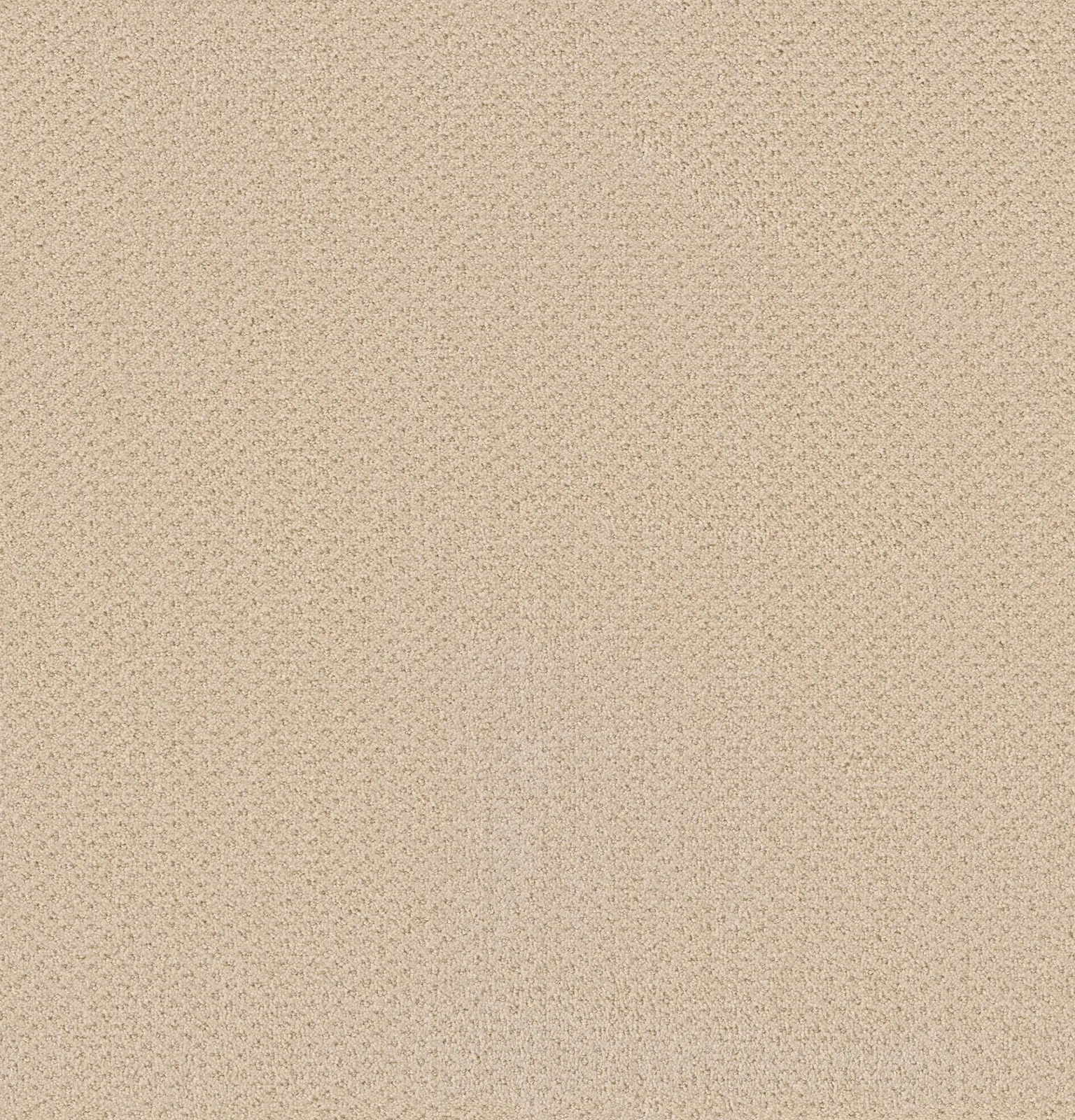 Genesis Broadloom Carpet in Pewter, 12ft wide, 100% nylon material
