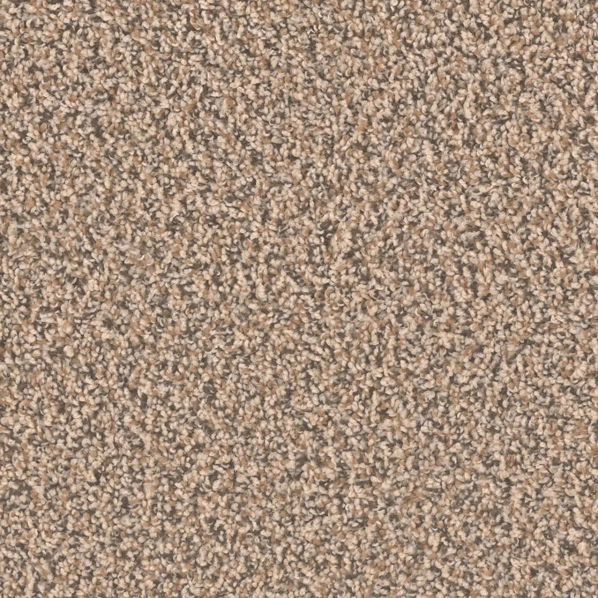SP250 Broadloom Carpet in Bayside color, textured finish, 12ft wide, woven polypropylene material