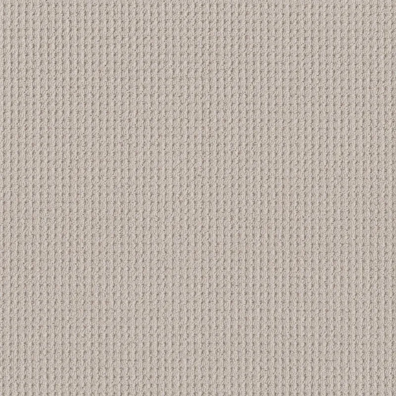 Faint Intent Broadloom Carpet in River Run color, 100% Nylon, 12ft width, Berber Loop construction