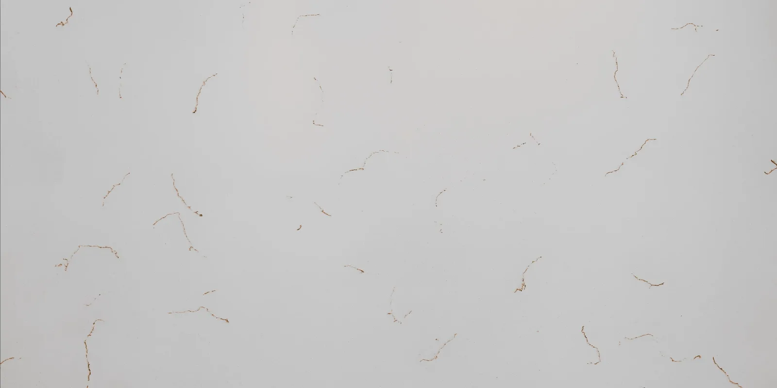 Carrara Gold Quartz Countertop