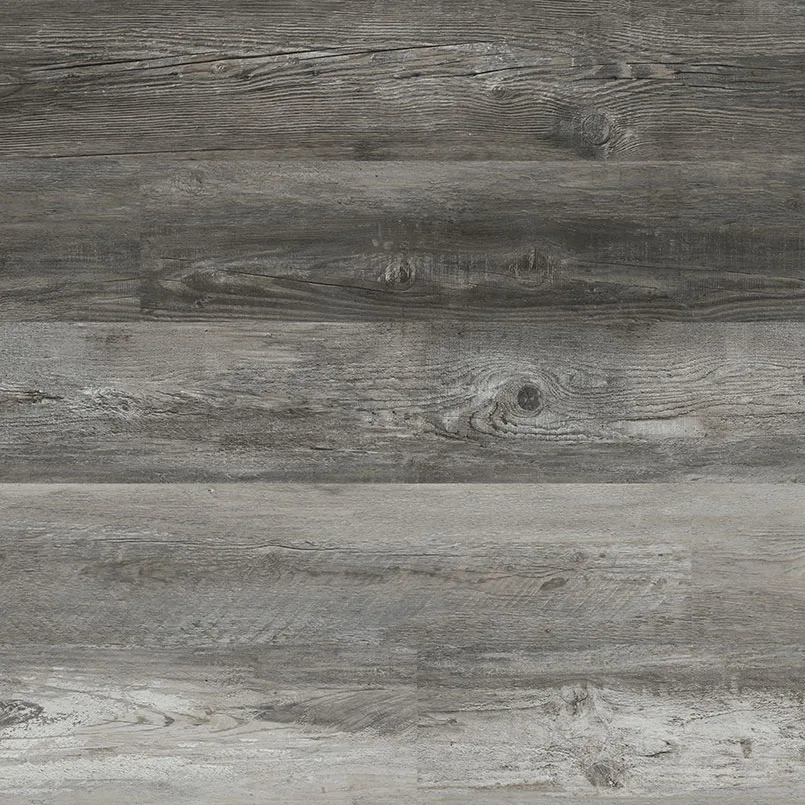 Cyrus - Boswell