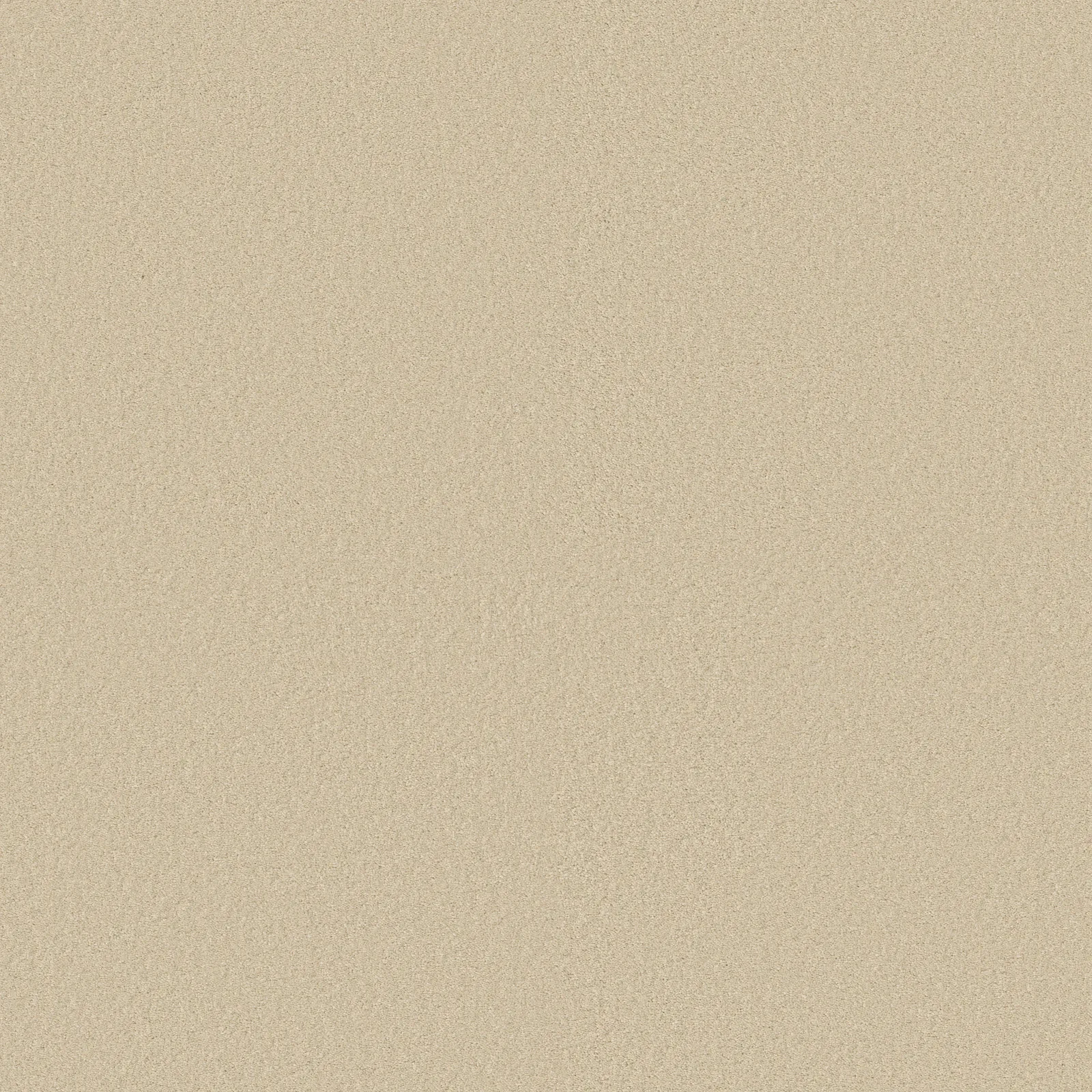 Magic at Last IV Broadloom Carpet in Tree Moss color, made of 100% nylon, 15 ft wide, designed for residential use.