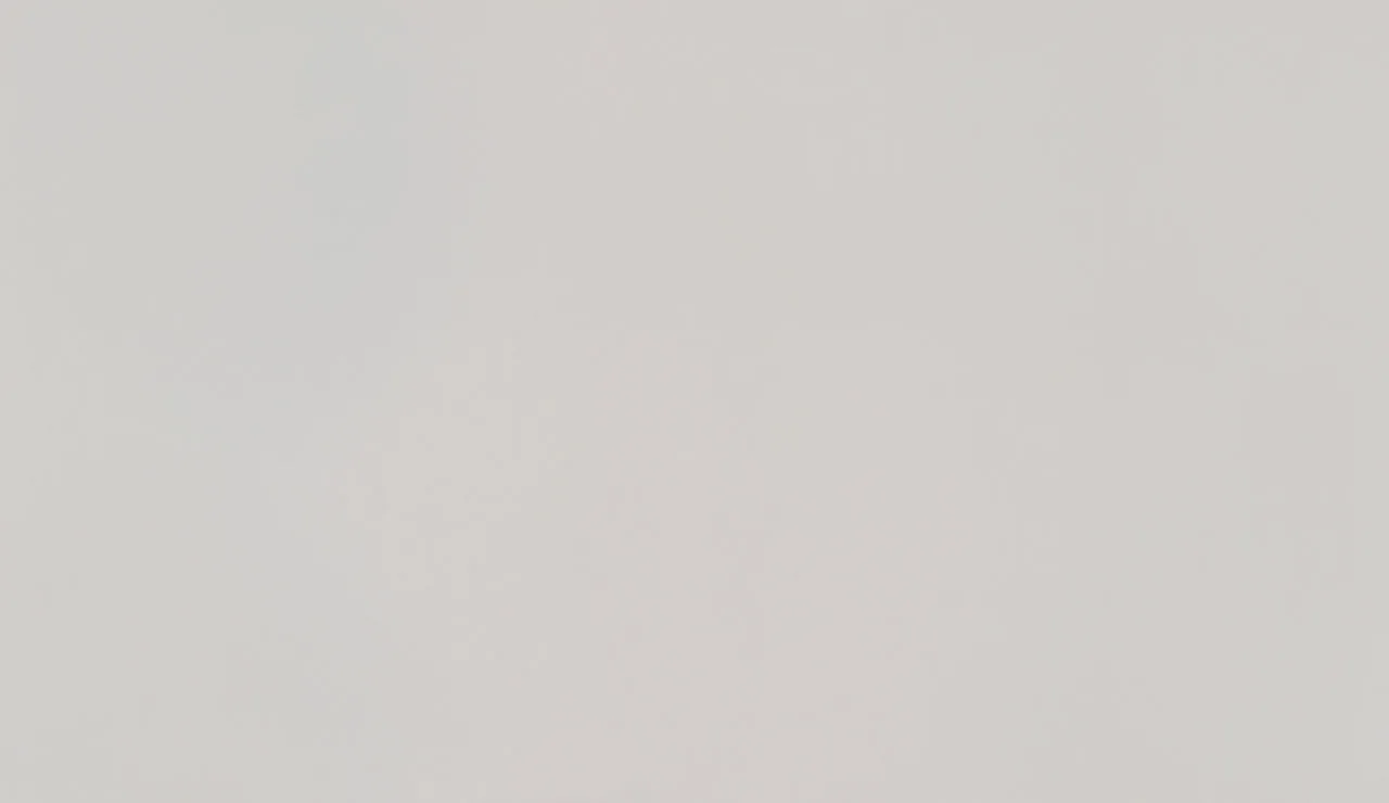 Daltile ONE Quartz - Monochromatic Look Lucent White
