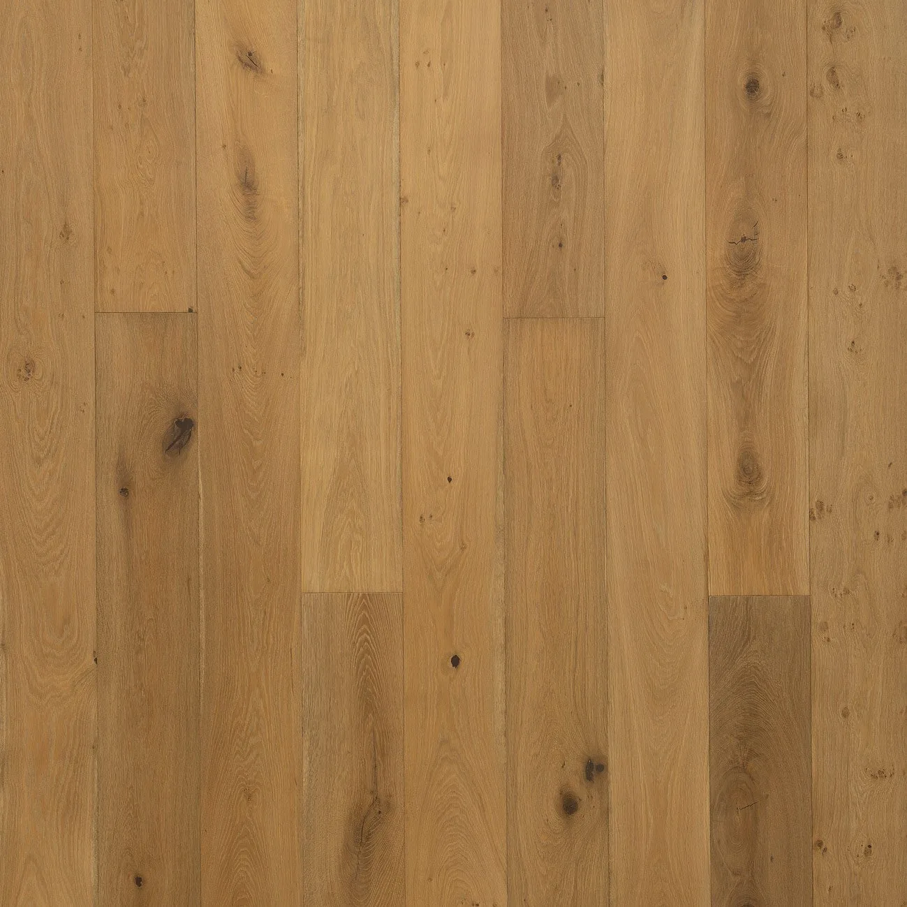 Fragile Beauty Engineered Hardwood in wire brushed finish, 5/8" thickness, 8.7" width, made from European Oak