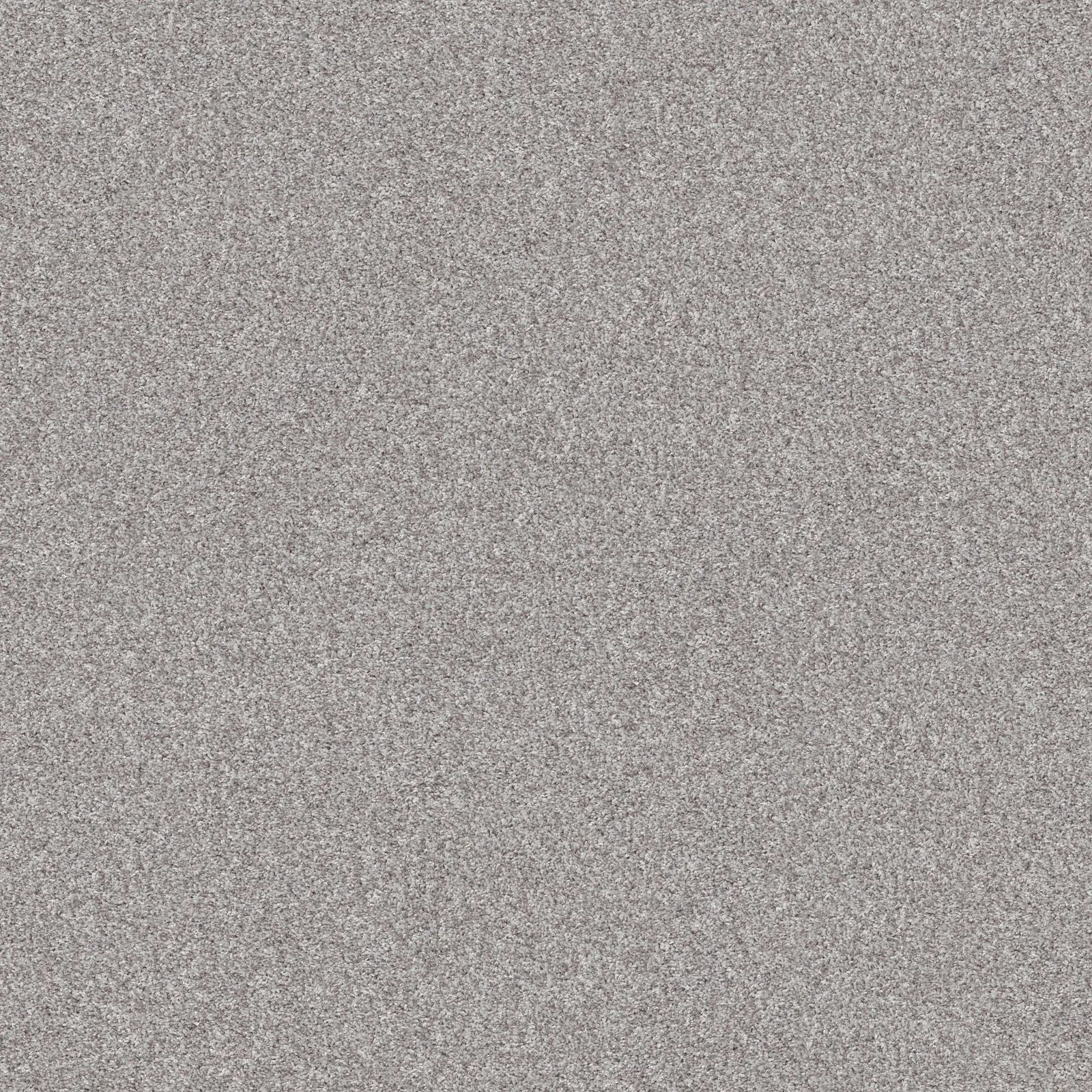 Inlet Shore 1 15 5E789