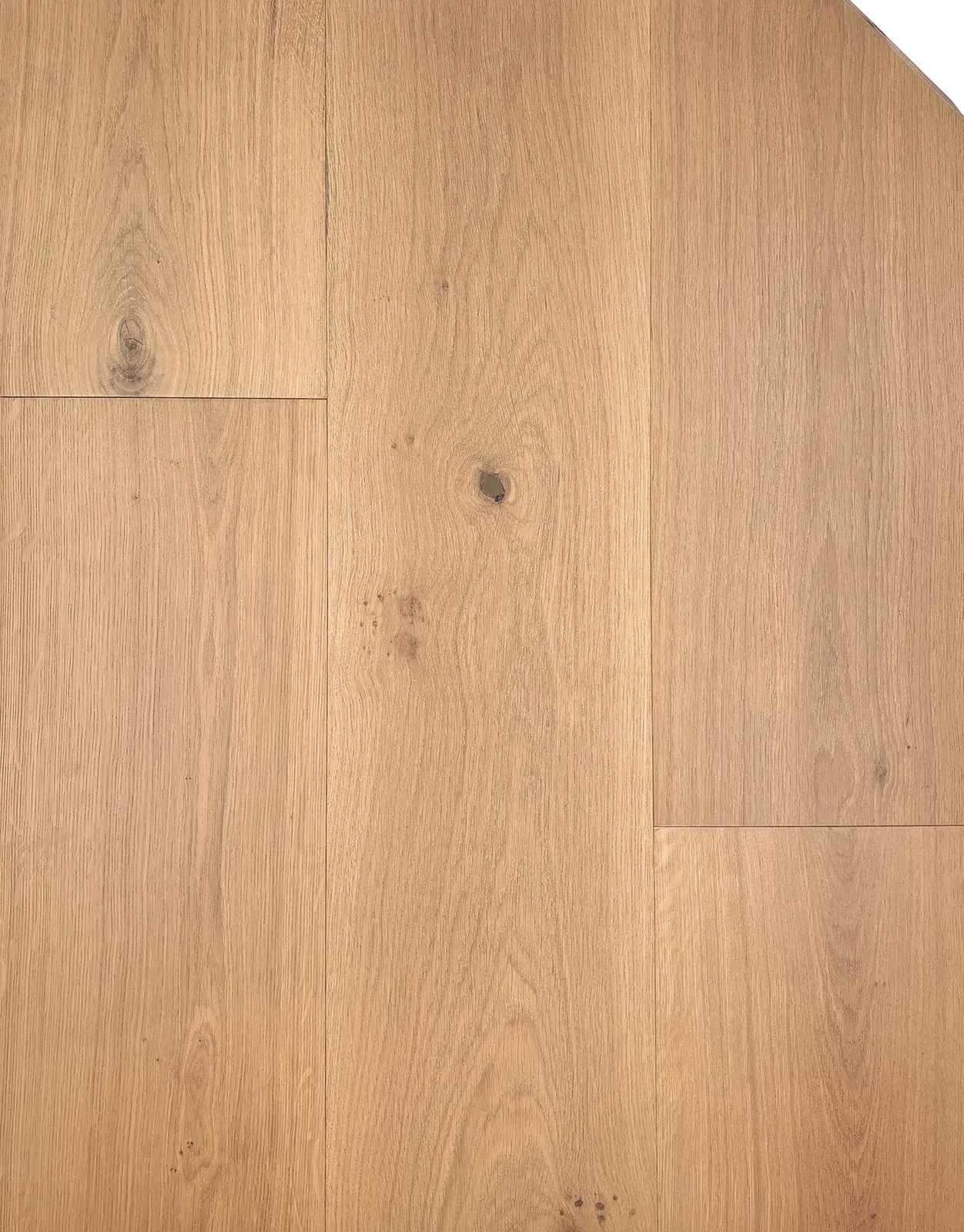 Peony Ash