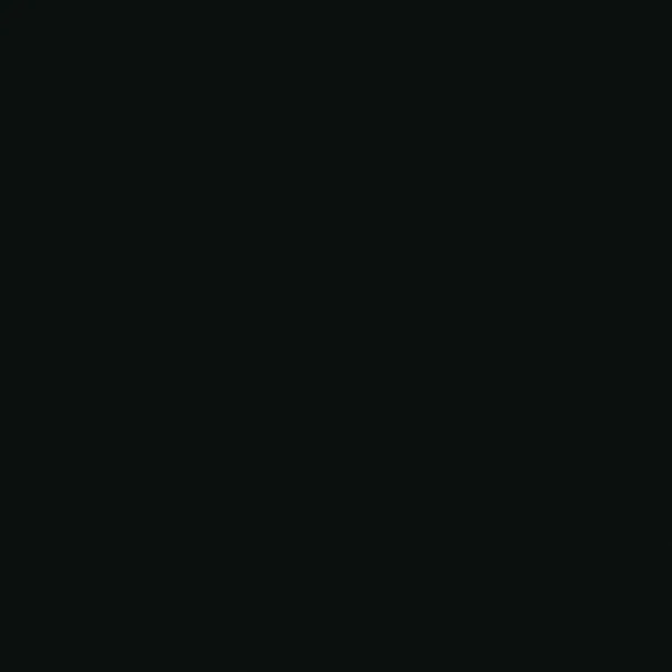 Daltile Prime Black