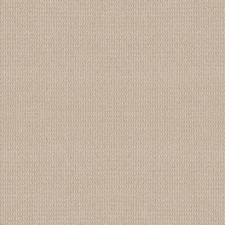 Portofino Berber Nylon Loop Carpet in Timber Wolf color, 12ft wide, 100% Nylon material
