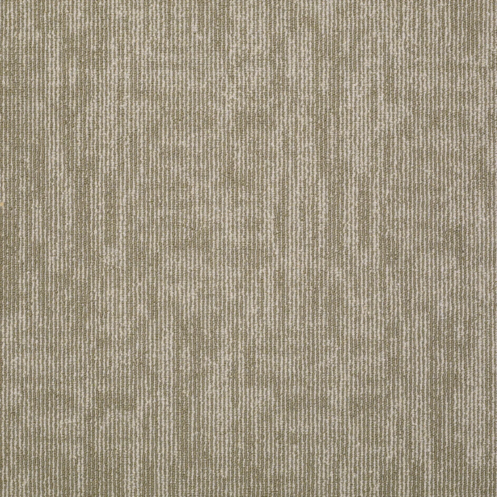 Carbon Copy Tl 54806