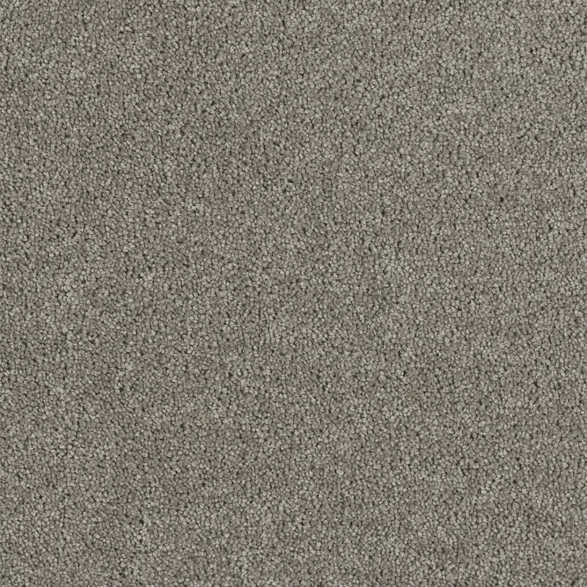 Hollywood 8232 Broadloom Carpet in Warm Teak color, woven polypropylene material, 12ft wide