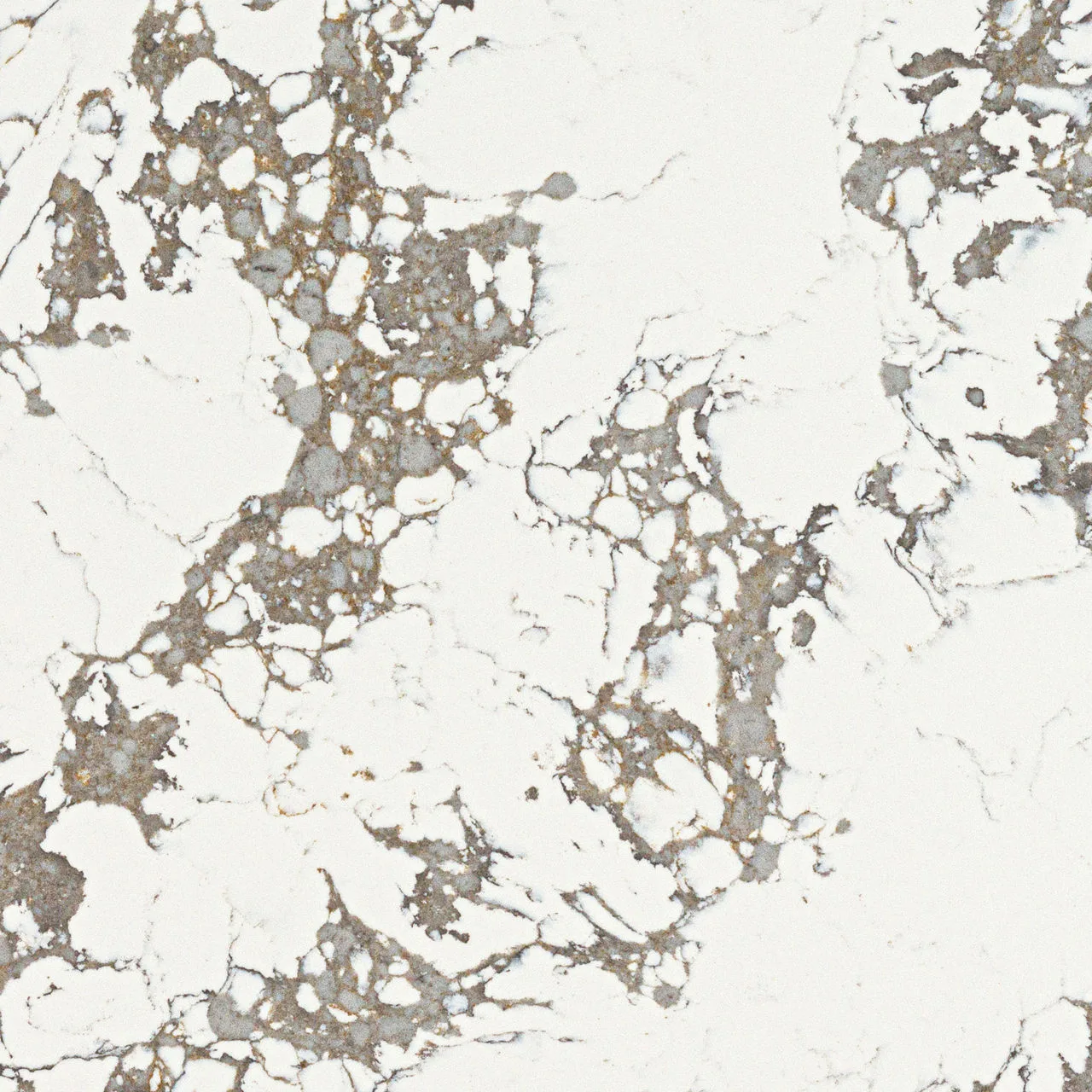 Daltile ONE Quartz - Marble Look Arctic Arabescato