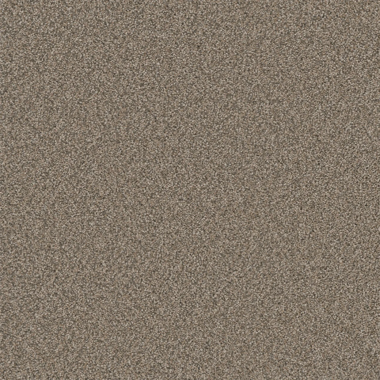 Royale III 5154 Broadloom Carpet in Bordeaux color, woven polypropylene material, 12ft wide