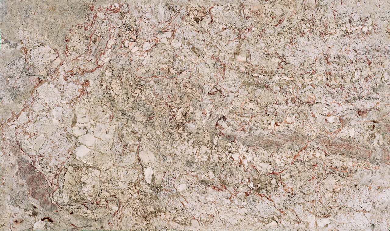 Daltile Granite - Natural Stone Slab White Spring