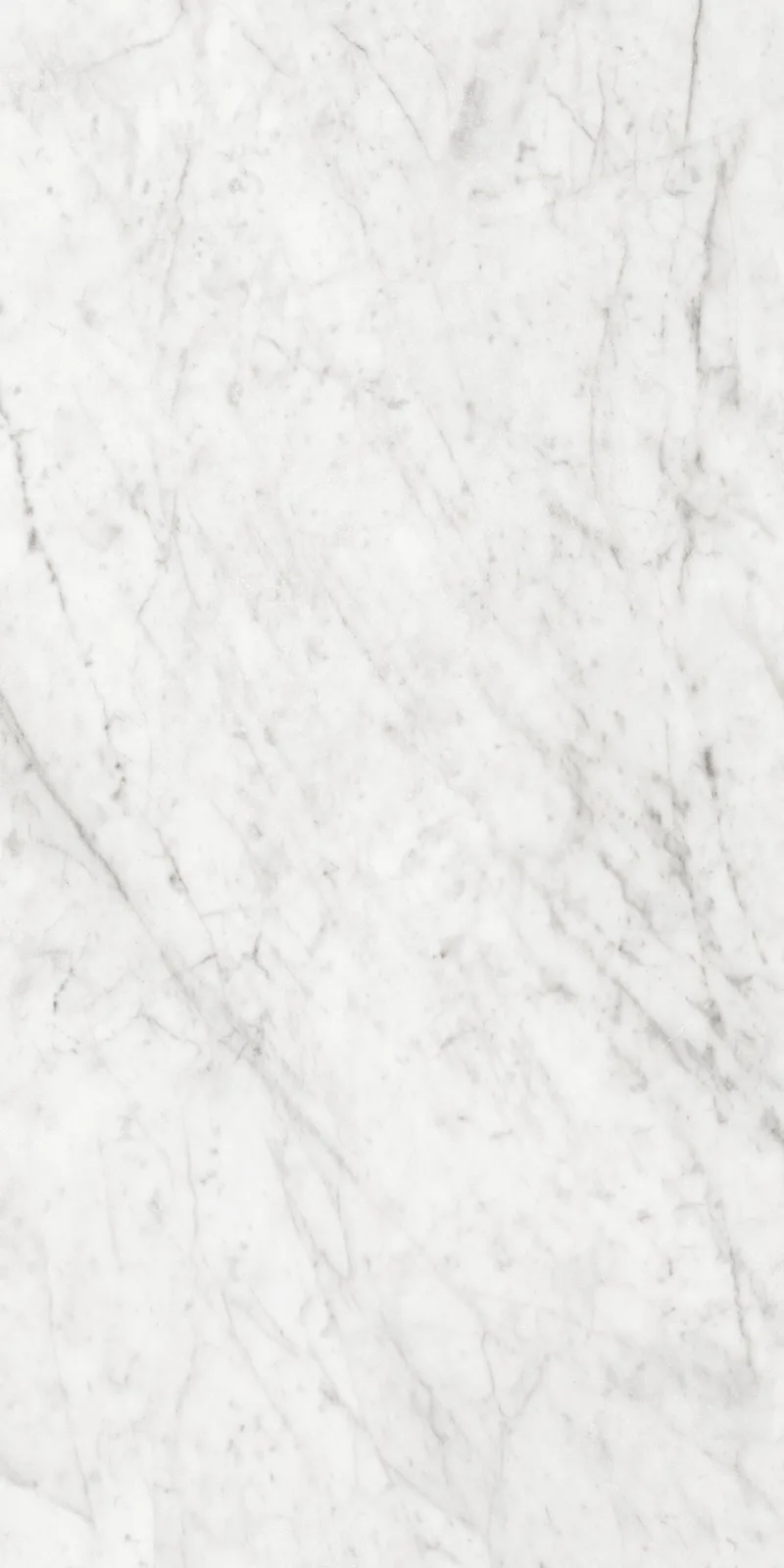 Augusto Gray Porcelain Tile 24x48 Lappato finish, stone look, rectified edges