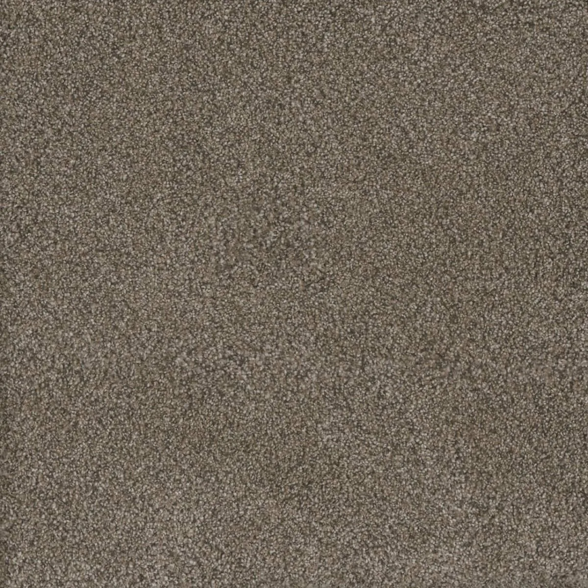 Monte Carlo III 8200