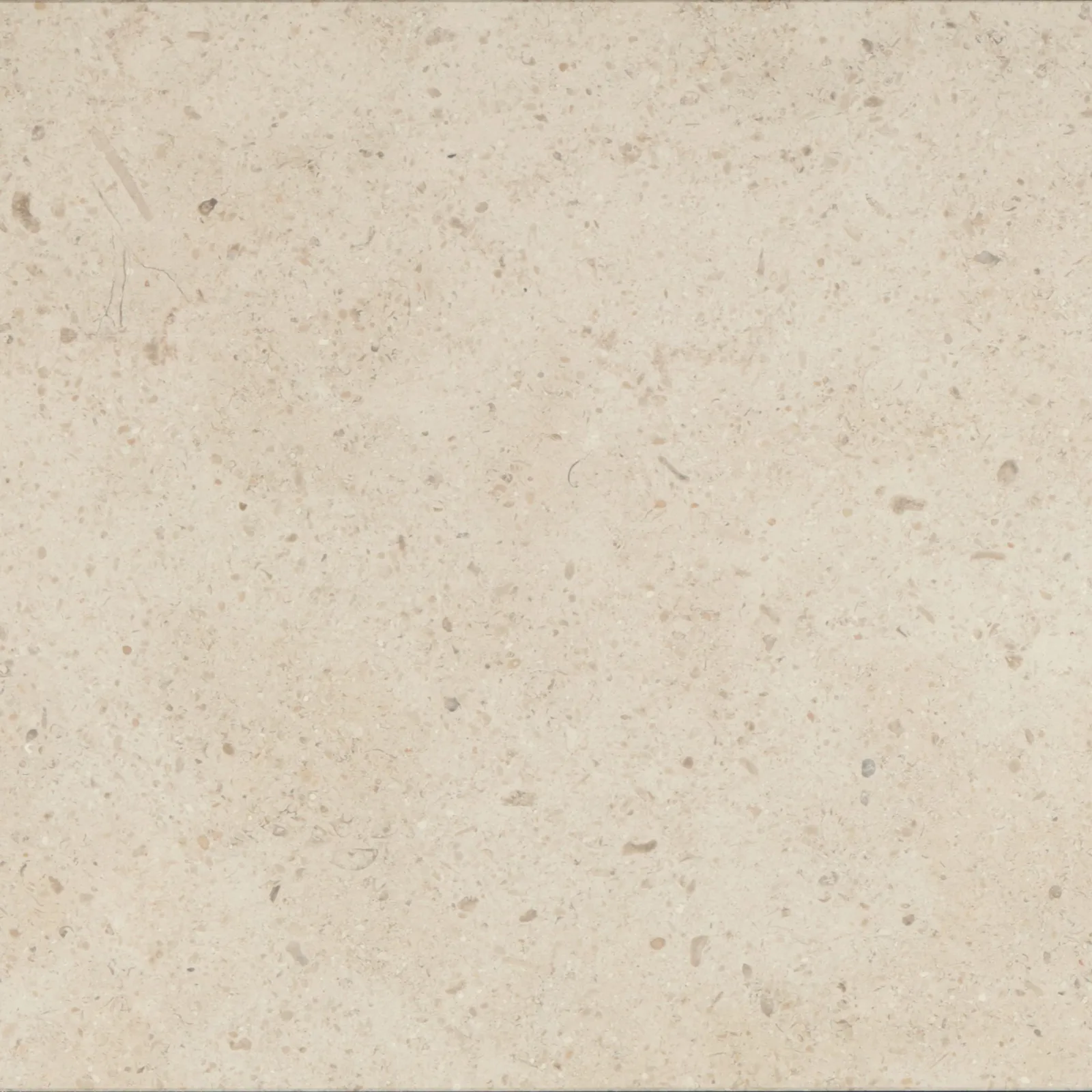 Gascogne Beige