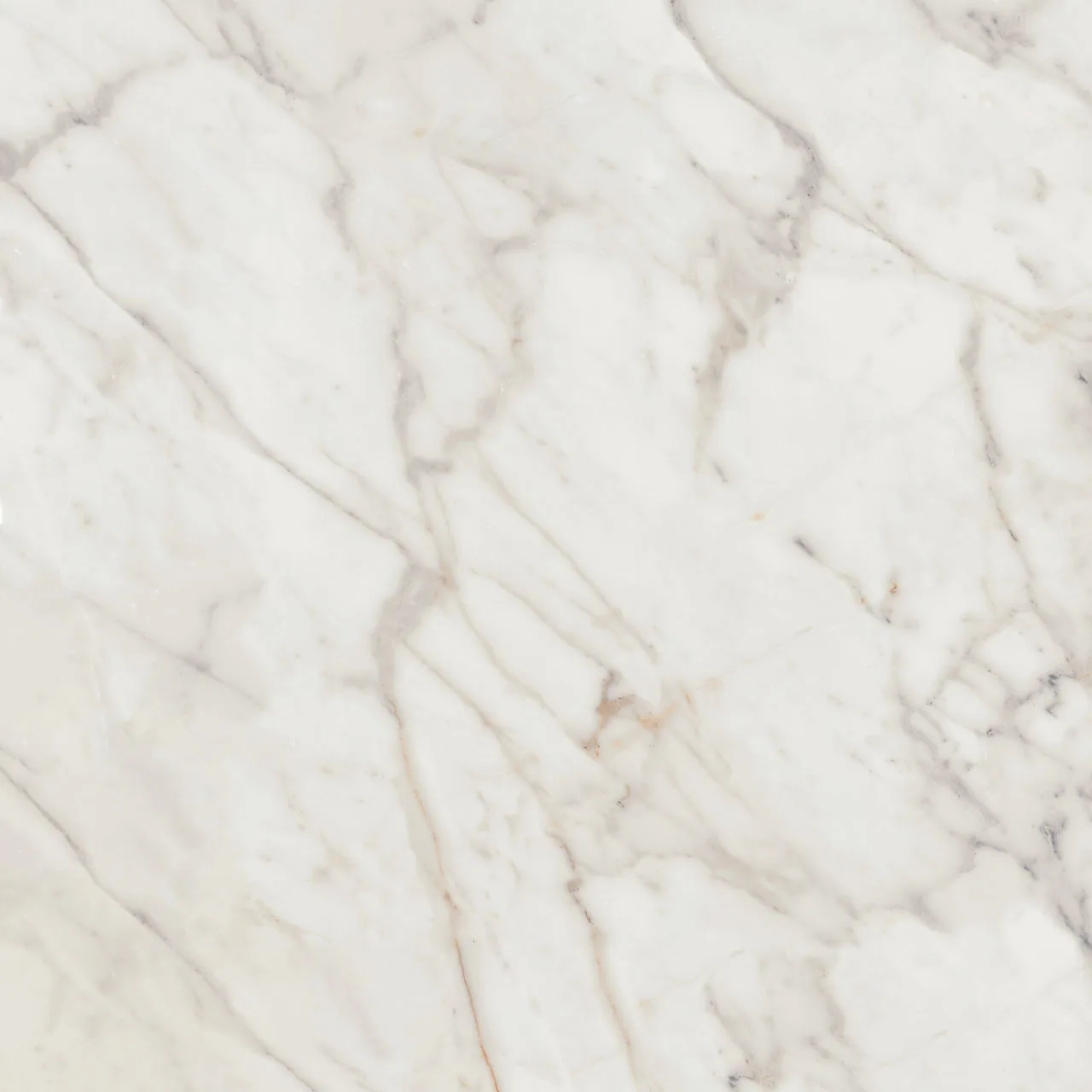 Daltile Marble Attache Lavish Golden Reverie 24X24, Polished, Square Porcelain Tile
