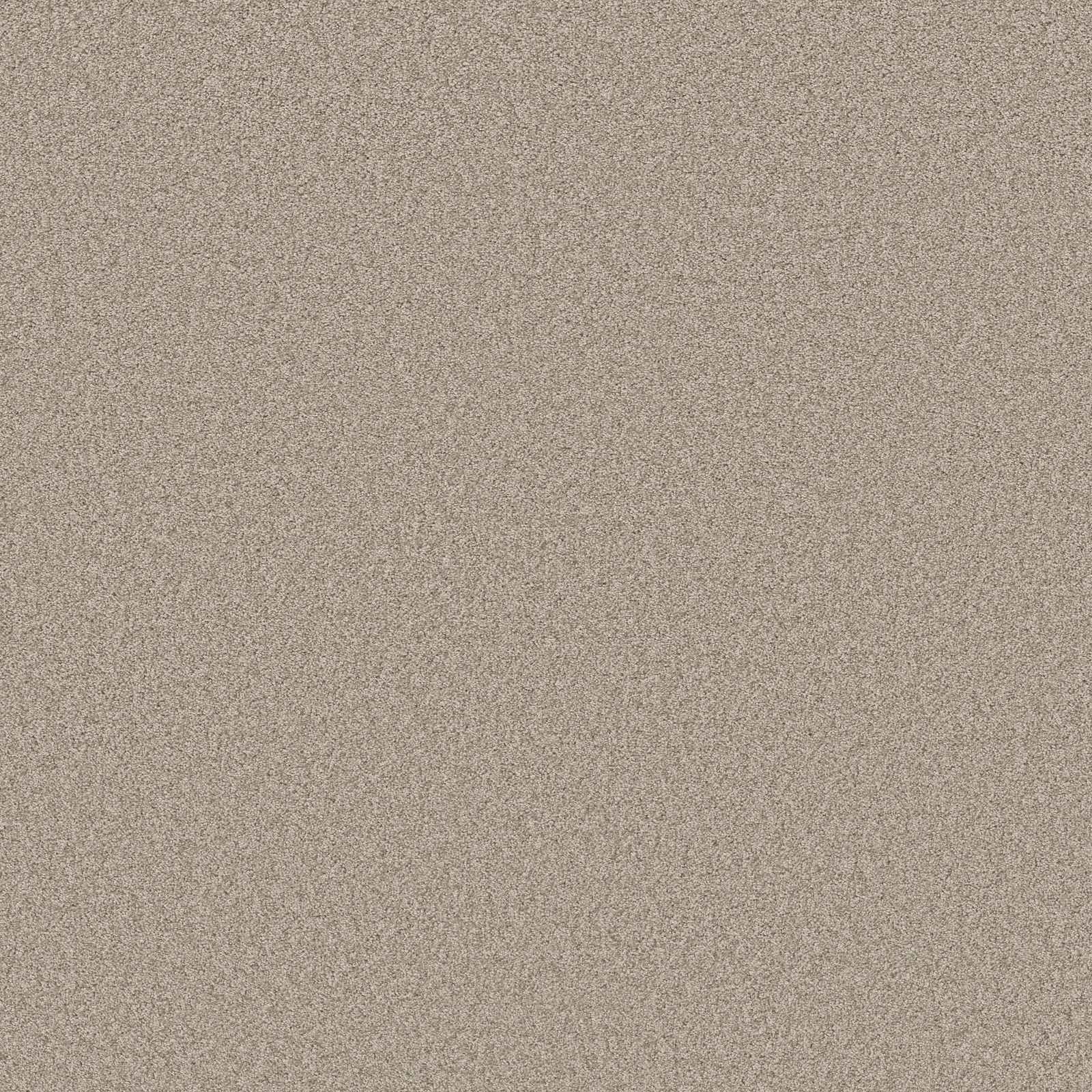 Harmonious II 5E437