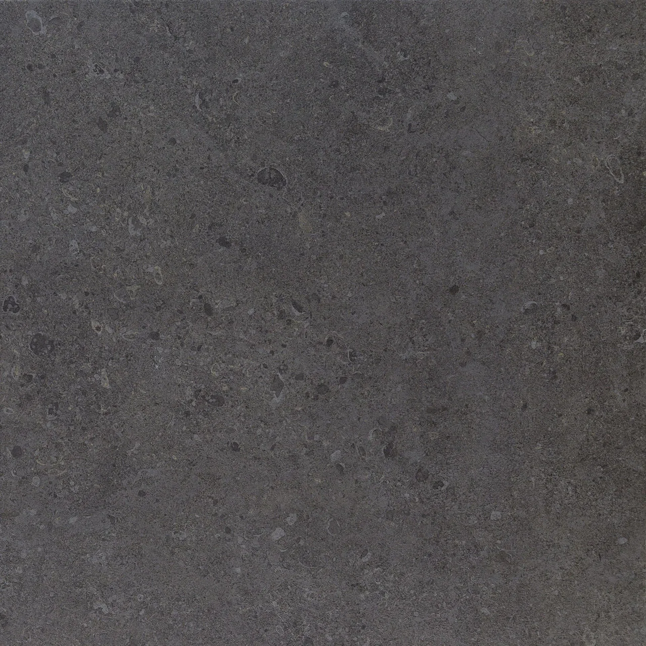 Daltile Dignitary Governor Black