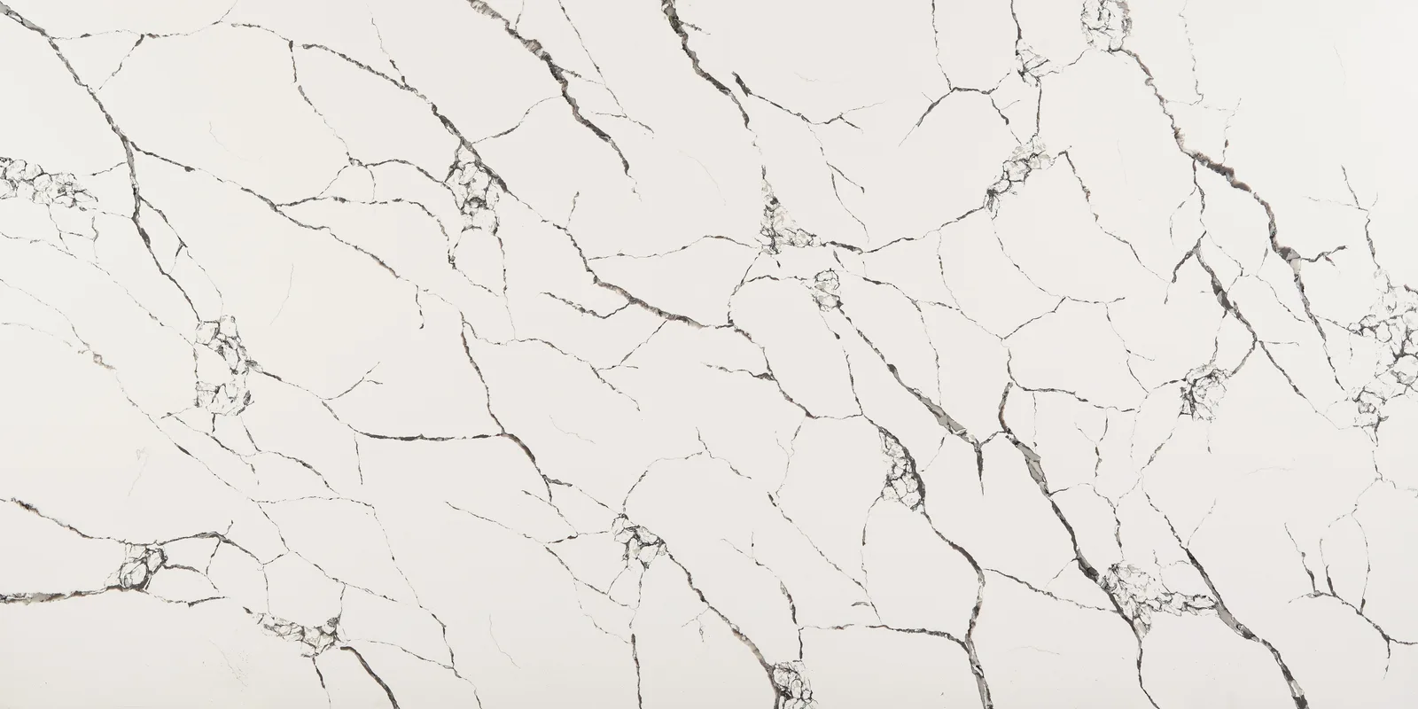 Calacatas Vega Quartz Countertop