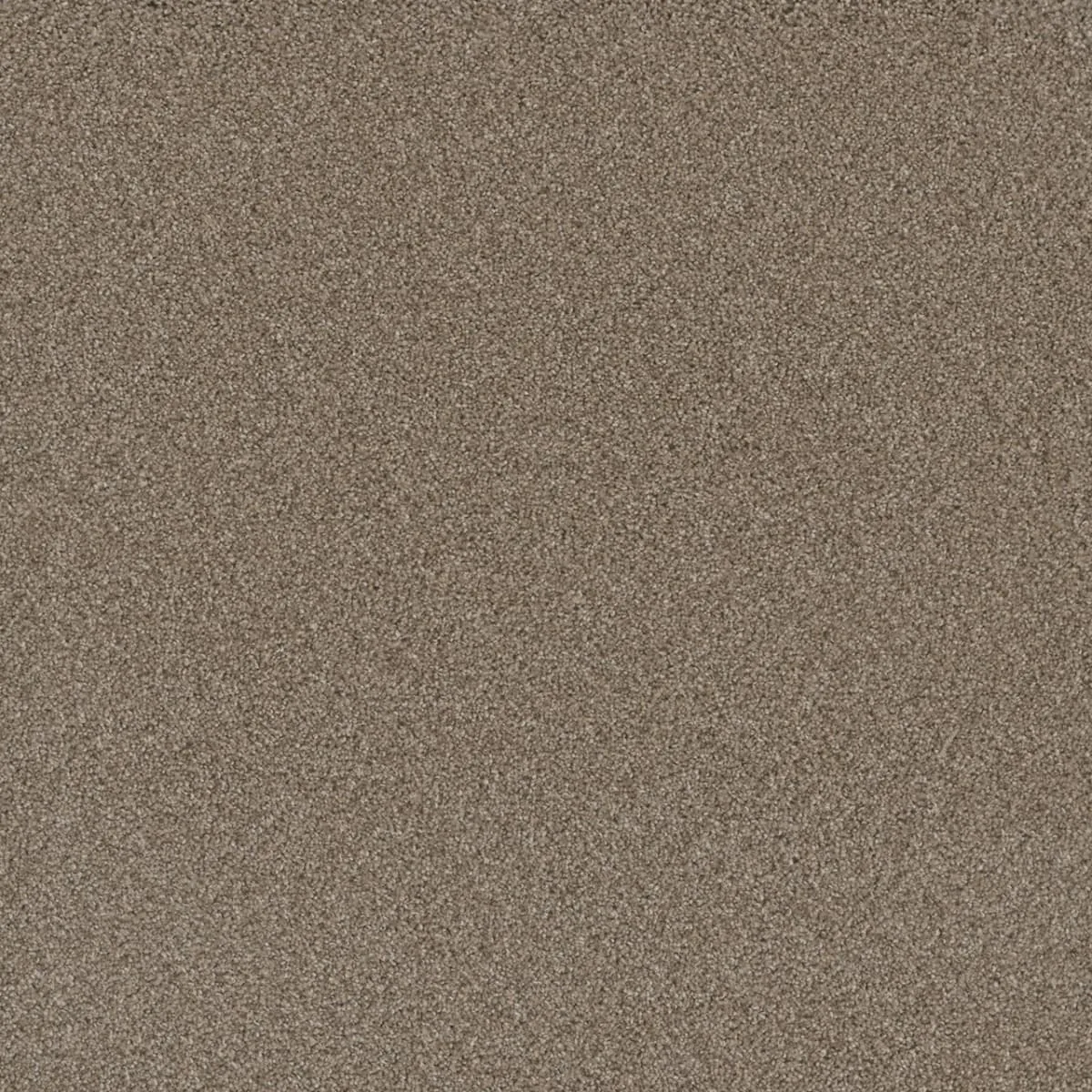 Cosmopolitan II 8550