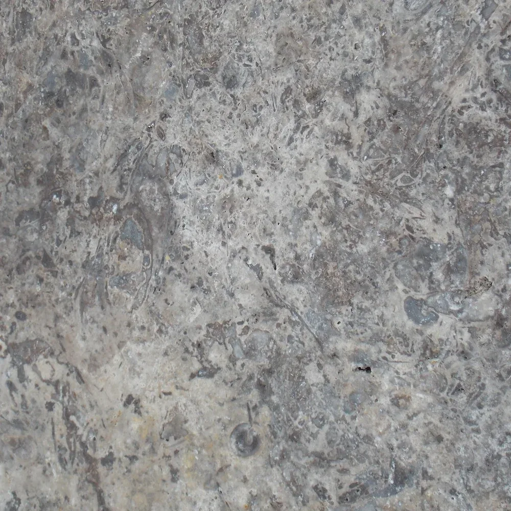 Silver Travertine Paver