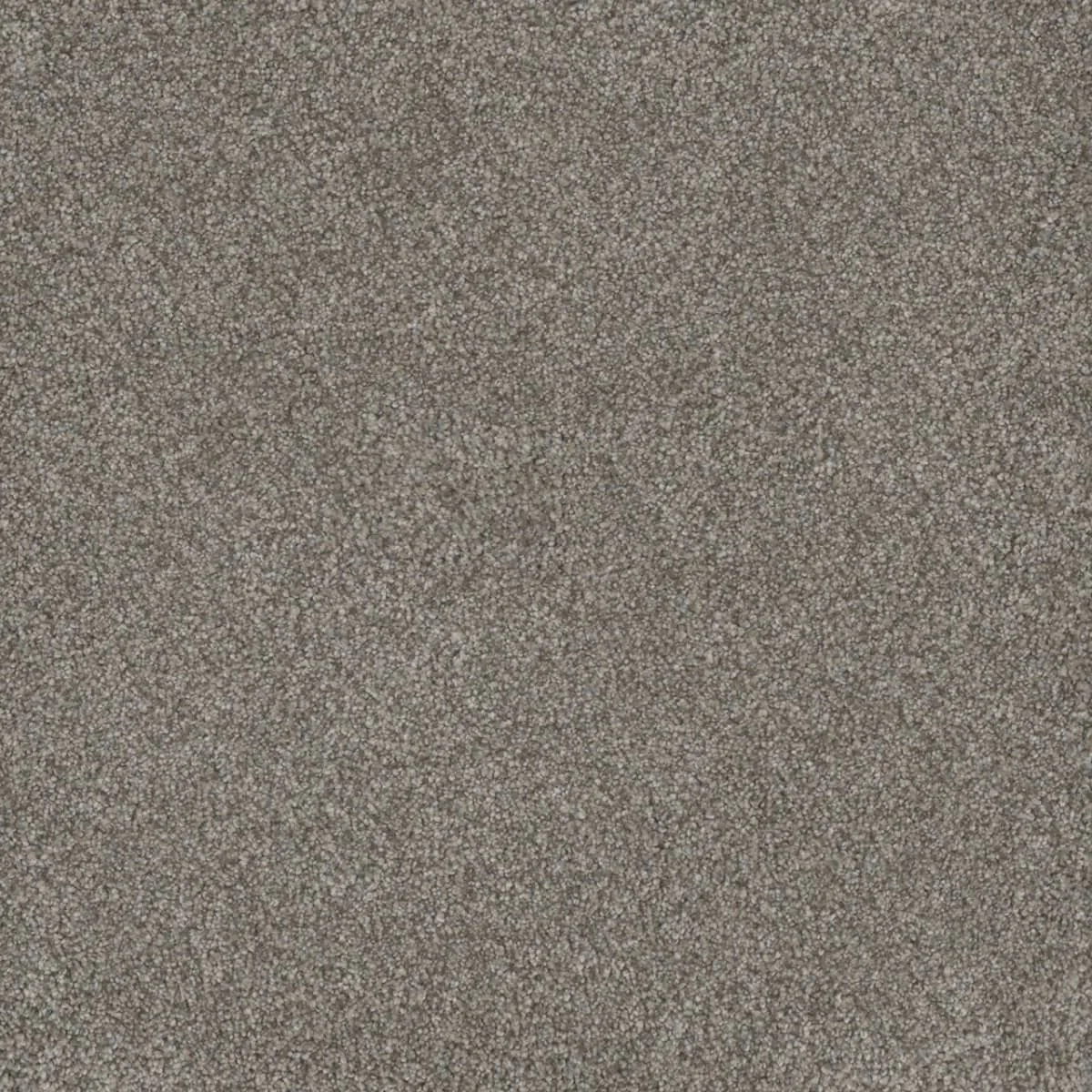 Monte Carlo II 7200