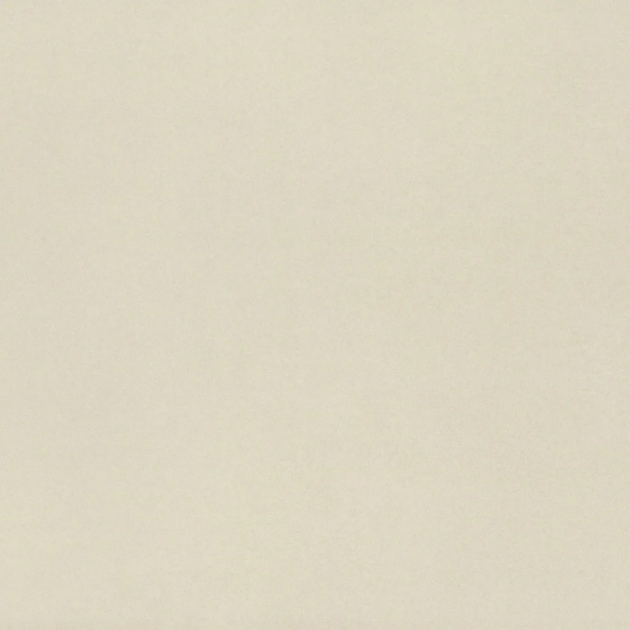 American Olean Neoconcrete White
