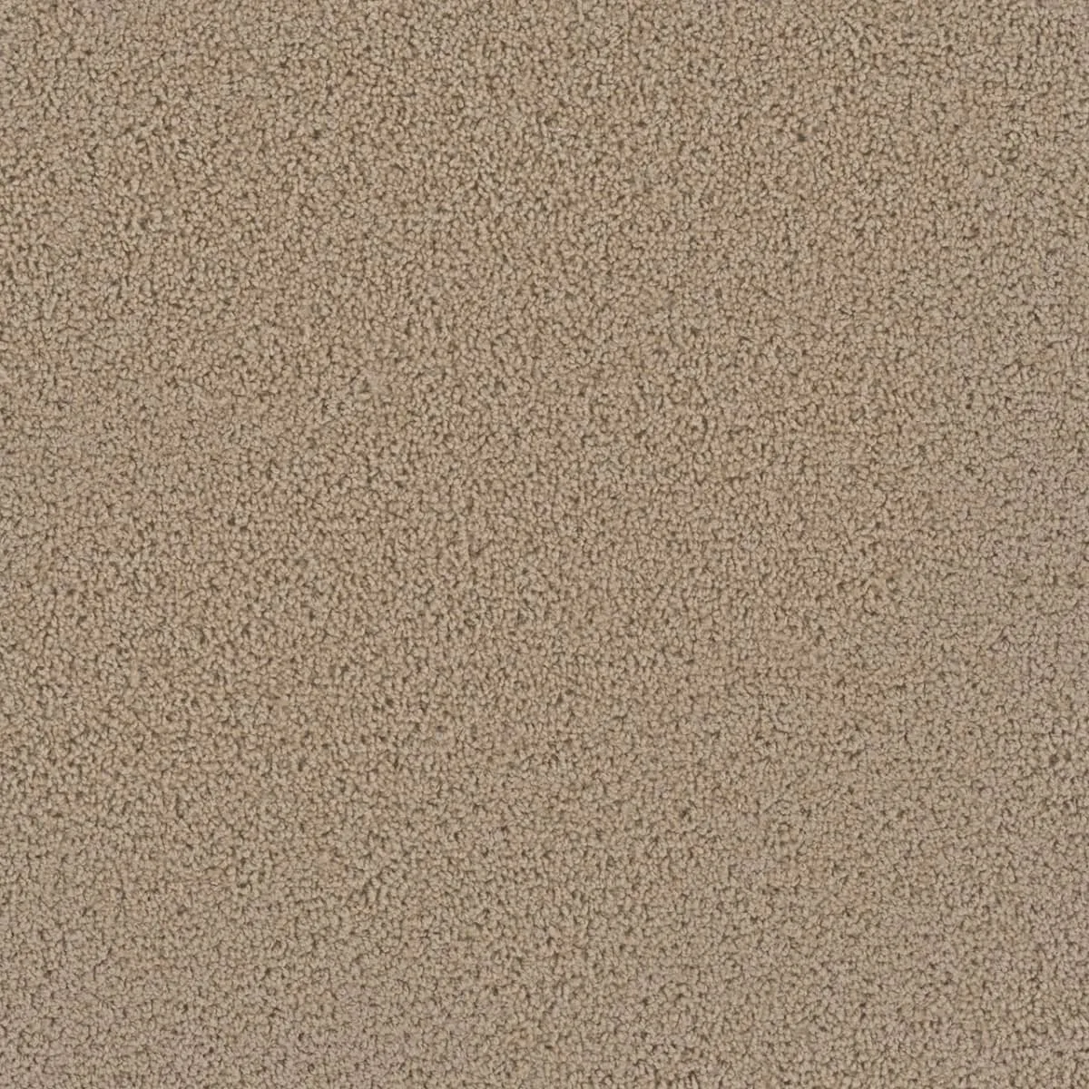 First Step 4160 Broadloom Carpet in Sable color, woven polypropylene material, 12ft wide