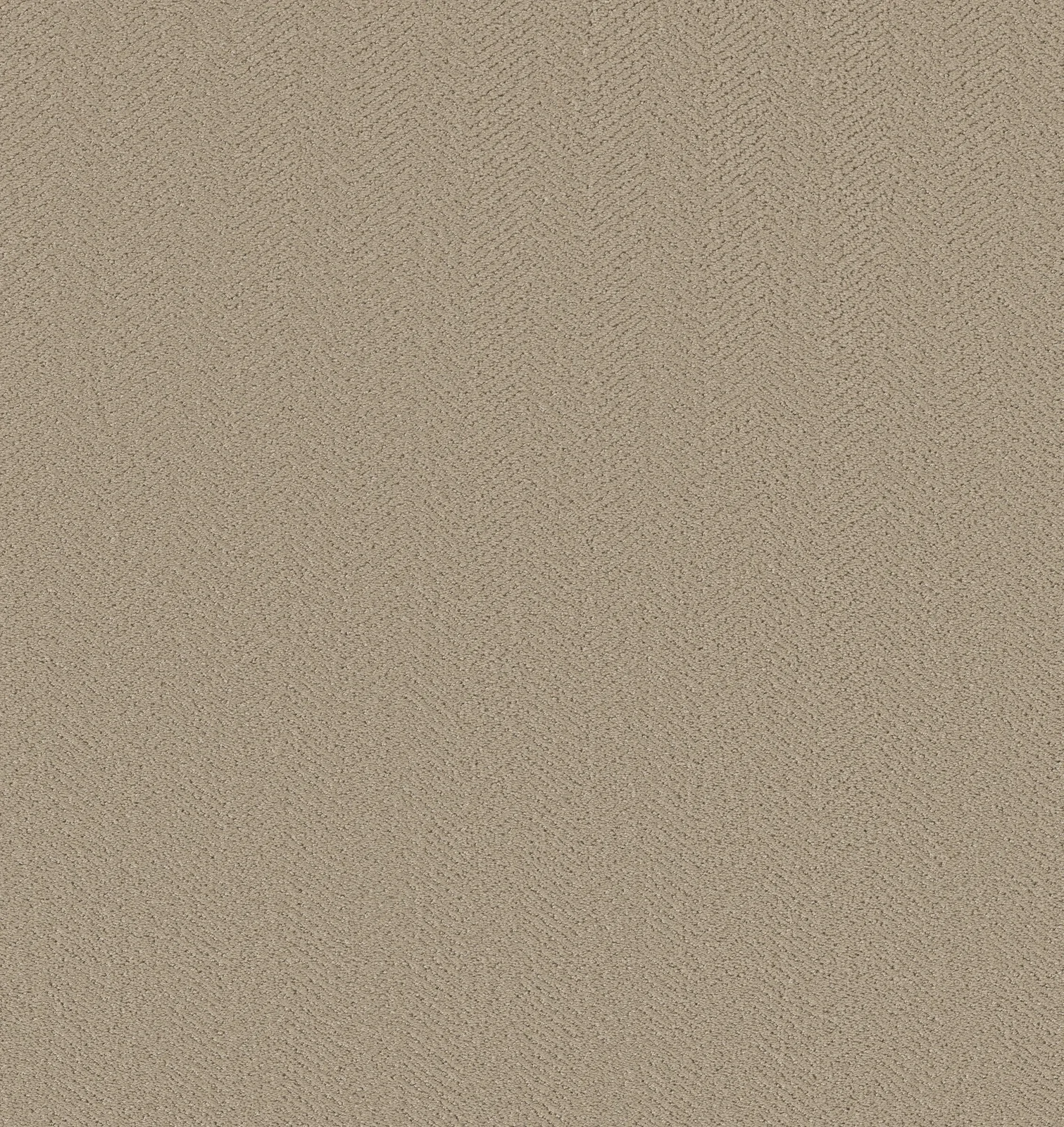 Highland Twill 5E687 Broadloom Carpet in Fallen Acorn color, 100% PET, 12ft width, 125ft roll