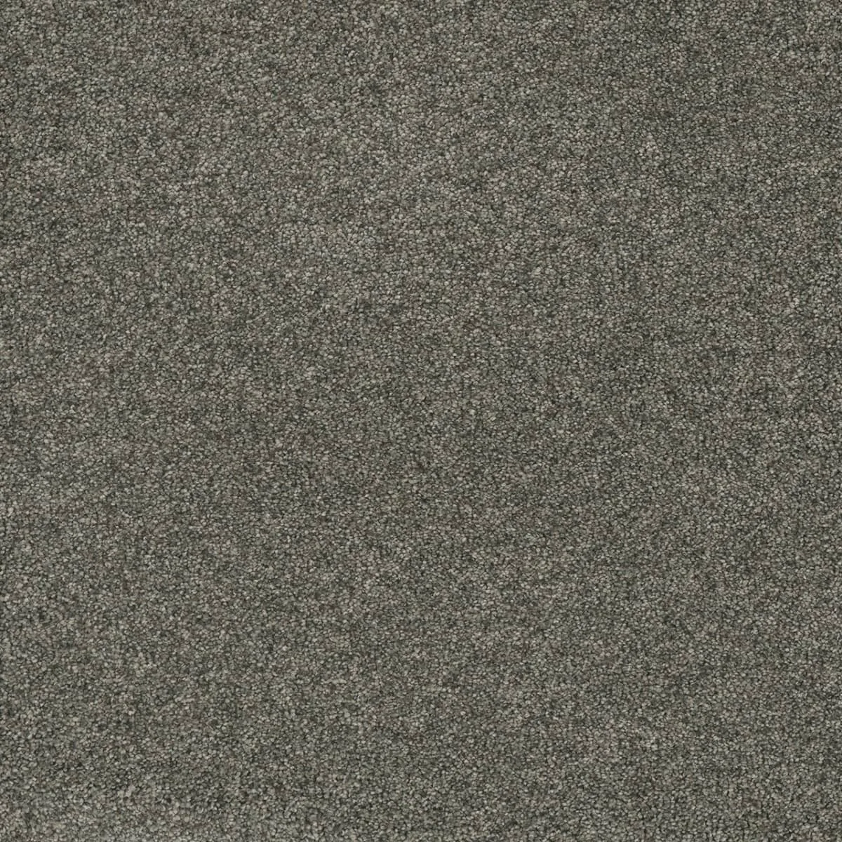 Astounding II 2545 broadloom carpet in Baymont color, woven polypropylene material, 12ft wide