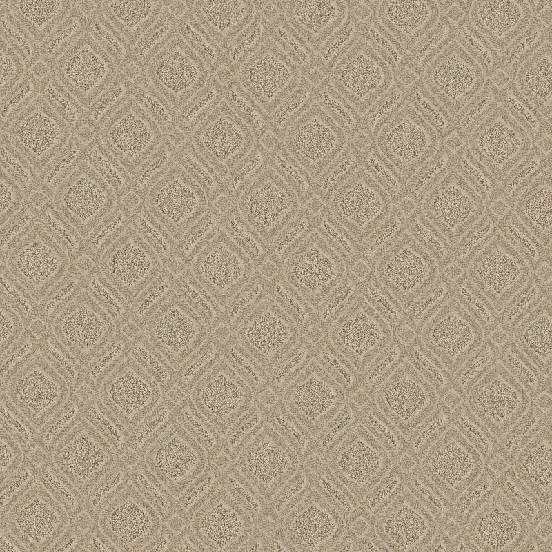 Expressive Broadloom Carpet in In The Shade color, 100% nylon, 12ft width, cut & loop pattern