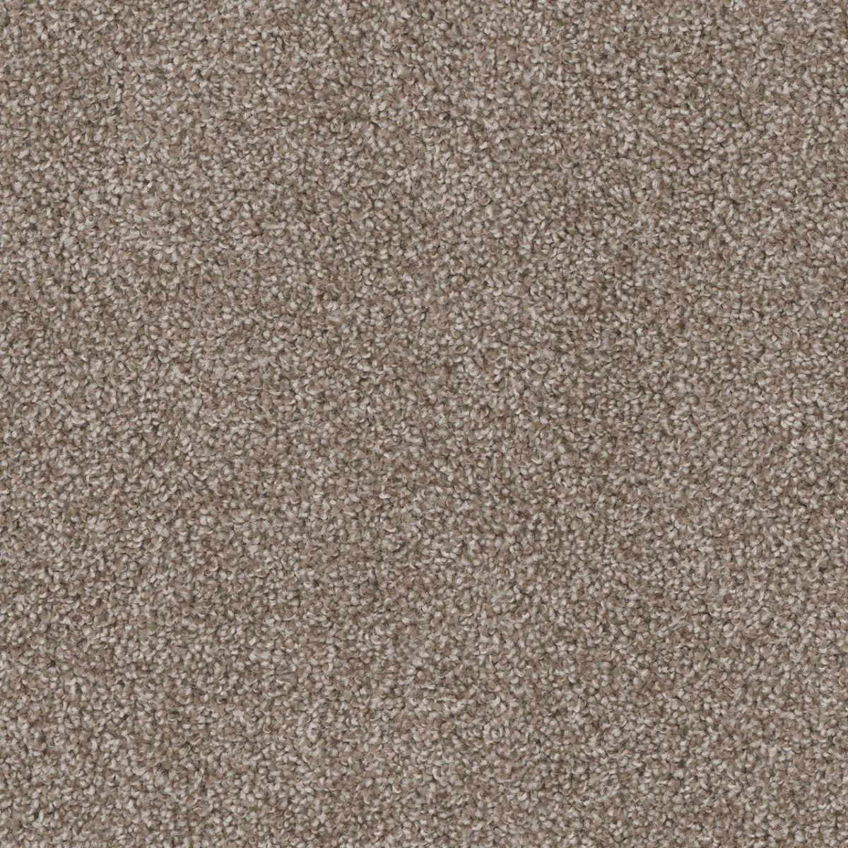 Cedar Creek 2030 Broadloom Carpet in Sawgrass color, woven polypropylene material, 12ft wide for luxurious flooring